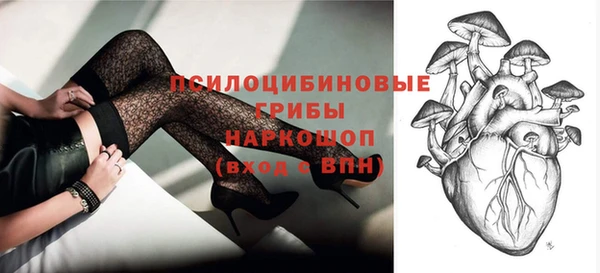 ПСИЛОЦИБИНОВЫЕ ГРИБЫ Армянск