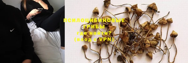 не бодяженный Арсеньев