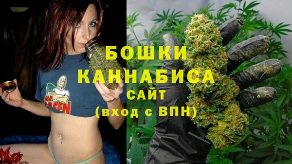Альфа ПВП Аркадак