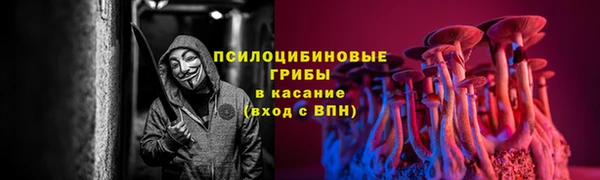 не бодяженный Арсеньев