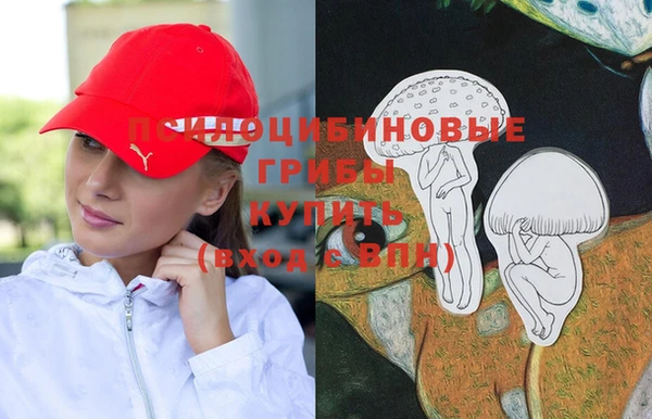ПСИЛОЦИБИНОВЫЕ ГРИБЫ Армянск