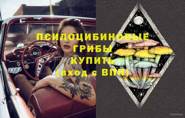 не бодяженный Арсеньев
